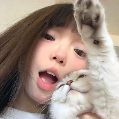 去独角兽岛的旅程